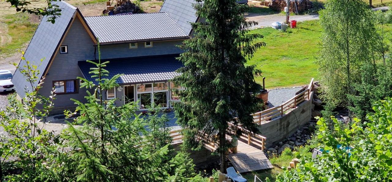 Cabana Din Vale Arieseni Apuseni Екстериор снимка